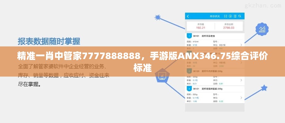 精准一肖中管家7777888888，手游版ANX346.75综合评价标准