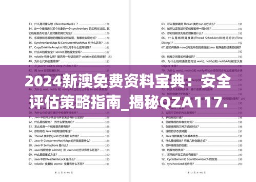 2024新澳免费资料宝典：安全评估策略指南_揭秘QZA117.82方案