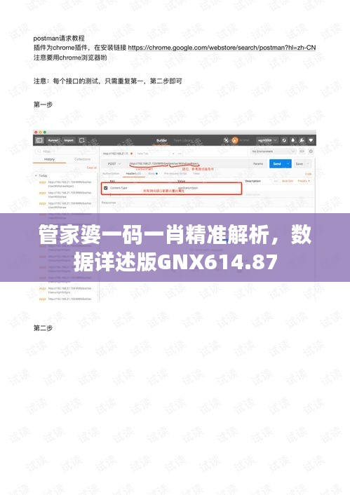 管家婆一码一肖精准解析，数据详述版GNX614.87