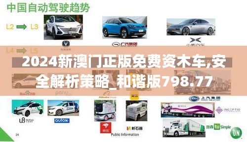 2024新澳门正版免费资木车,安全解析策略_和谐版798.77