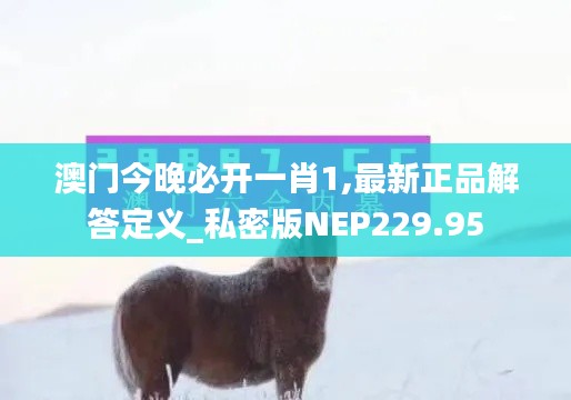 澳门今晚必开一肖1,最新正品解答定义_私密版NEP229.95