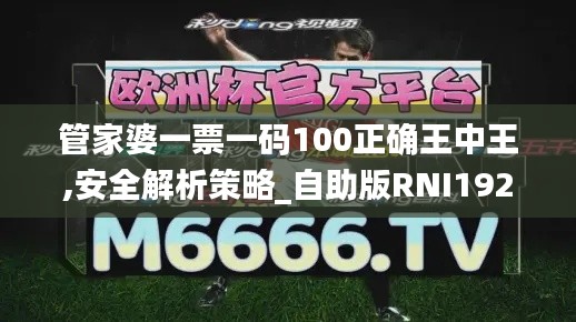 管家婆一票一码100正确王中王,安全解析策略_自助版RNI192.14