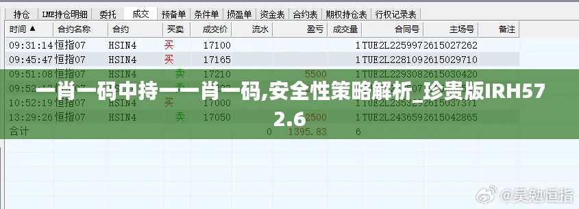 一肖一码中持一一肖一码,安全性策略解析_珍贵版IRH572.6