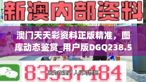 澳门天天彩资料正版精准，图库动态鉴赏_用户版DGQ238.58