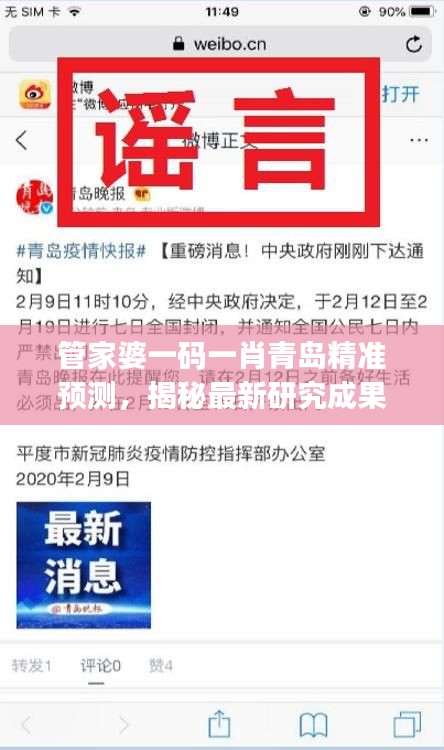 管家婆一码一肖青岛精准预测，揭秘最新研究成果及网络版RJF347.44定义