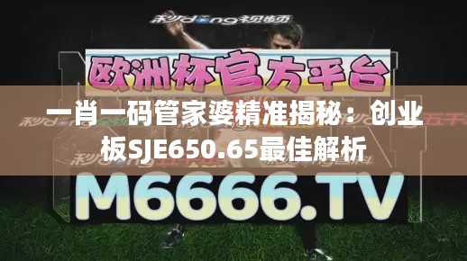 一肖一码管家婆精准揭秘：创业板SJE650.65最佳解析