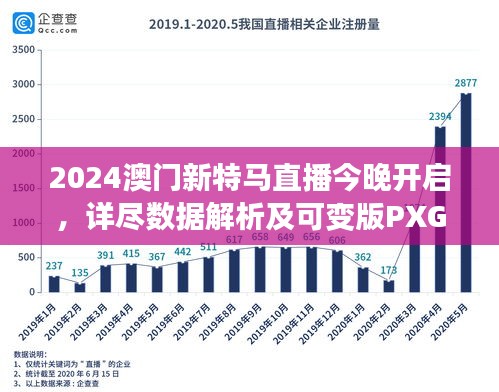 2024澳门新特马直播今晚开启，详尽数据解析及可变版PXG456.81揭晓