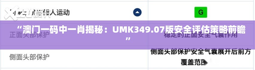 “澳门一码中一肖揭秘：UMK349.07版安全评估策略前瞻”