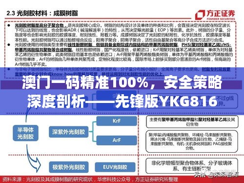 澳门一码精准100%，安全策略深度剖析——先锋版YKG816.77