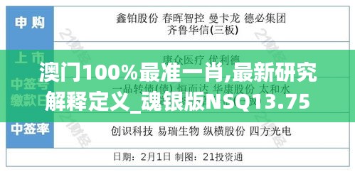 澳门100%最准一肖,最新研究解释定义_魂银版NSQ13.75