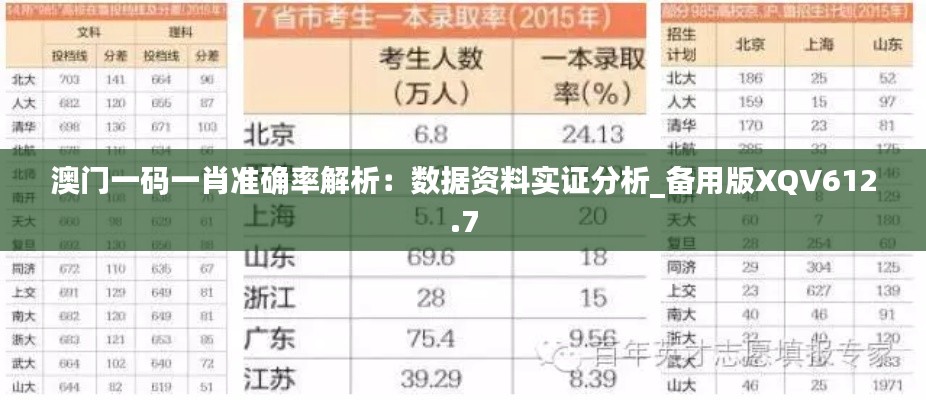 澳门一码一肖准确率解析：数据资料实证分析_备用版XQV612.7