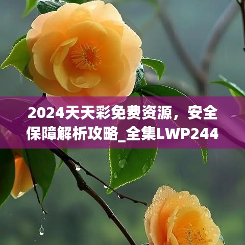 2024天天彩免费资源，安全保障解析攻略_全集LWP244.31