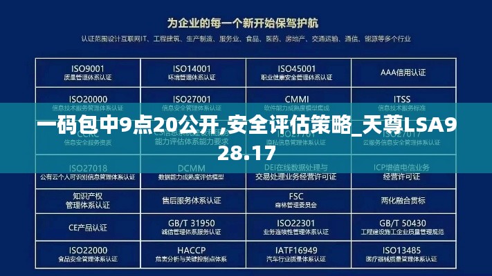 一码包中9点20公开,安全评估策略_天尊LSA928.17