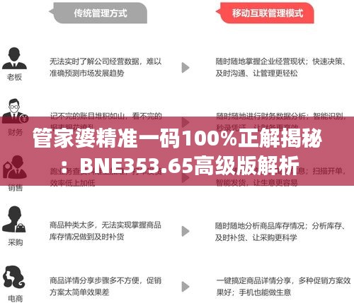 管家婆精准一码100%正解揭秘：BNE353.65高级版解析