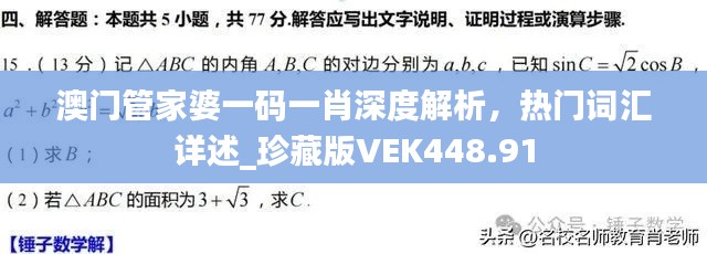 澳门管家婆一码一肖深度解析，热门词汇详述_珍藏版VEK448.91