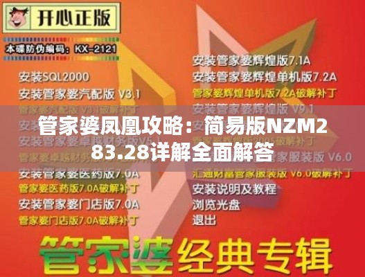 管家婆凤凰攻略：简易版NZM283.28详解全面解答