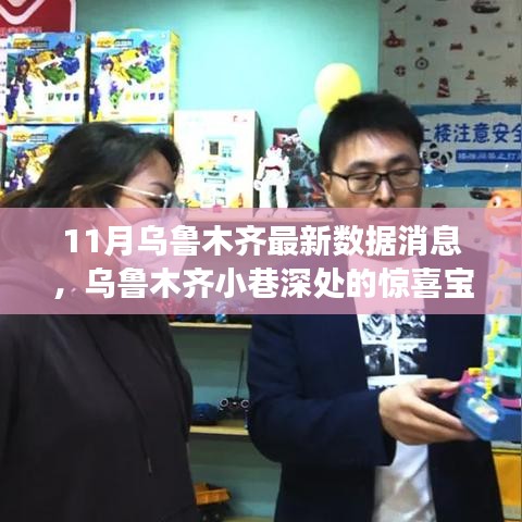 乌鲁木齐小巷深处的宝藏小店，十一月最新数据揭示的特色故事