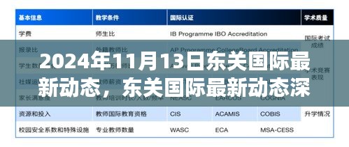 2024年11月13日东关国际最新动态深度解析与全新体验