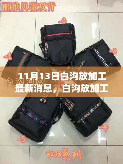 11月13日白沟放加工最新动态及行业变革展望