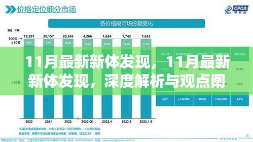 11月最新新体发现，深度解析与观点阐述