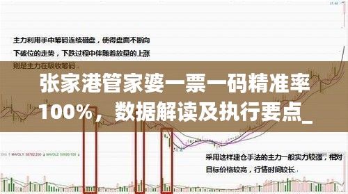 张家港管家婆一票一码精准率100%，数据解读及执行要点_主力版BWV283.03