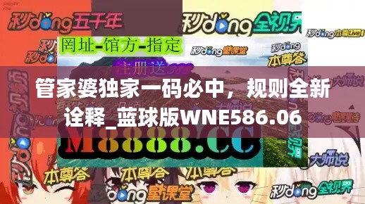 管家婆独家一码必中，规则全新诠释_蓝球版WNE586.06