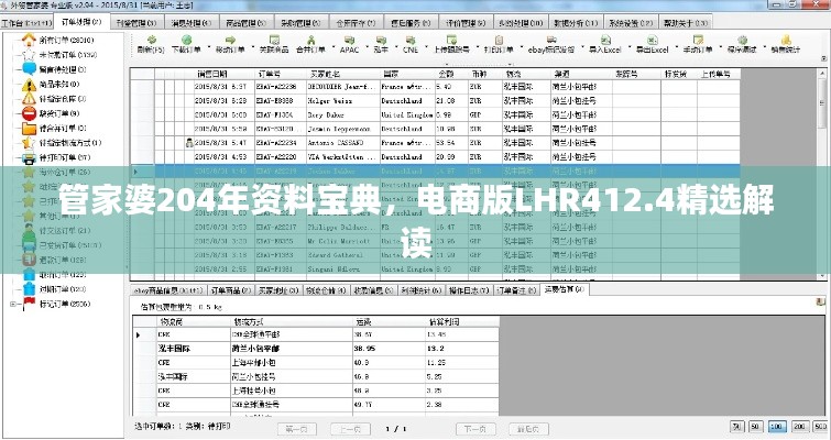 管家婆204年资料宝典，电商版LHR412.4精选解读