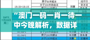 “澳门一码一肖一待一中今晚解析，数据详述_预览版QFE272.54”