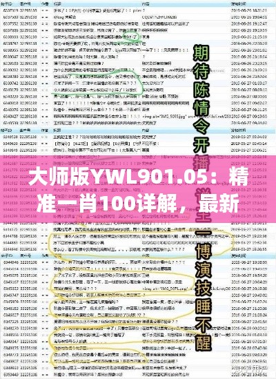 大师版YWL901.05：精准一肖100详解，最新规则与定义解读