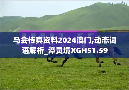 马会传真资料2024澳门,动态词语解析_淬灵境XGH51.59