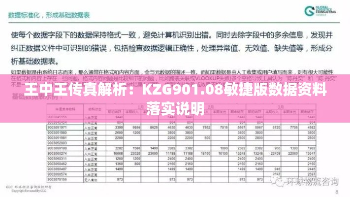 王中王传真解析：KZG901.08敏捷版数据资料落实说明