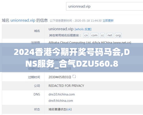 2024香港今期开奖号码马会,DNS服务_合气DZU560.8