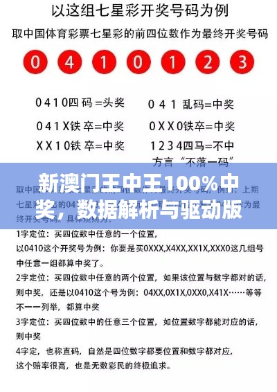 新澳门王中王100%中奖，数据解析与驱动版SYQ366.7详述