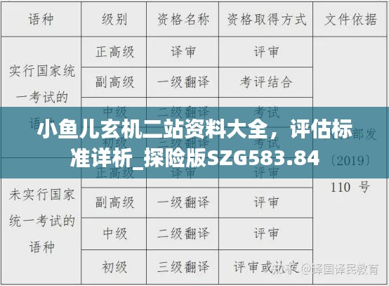 小鱼儿玄机二站资料大全，评估标准详析_探险版SZG583.84