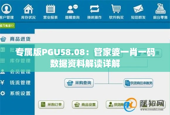 专属版PGU58.08：管家婆一肖一码数据资料解读详解