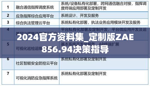 2024官方资料集_定制版ZAE856.94决策指导