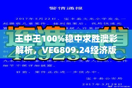 王中王100%稳中求胜澳彩解析，VEG809.24经济版深度解读