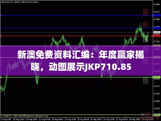 新澳免费资料汇编：年度赢家揭晓，动图展示JKP710.85