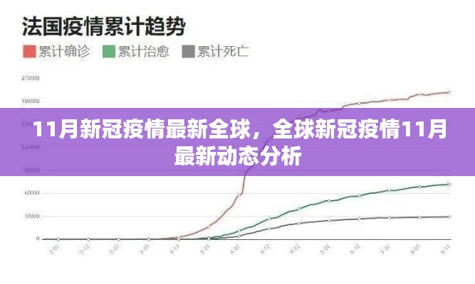 全球新冠疫情最新动态分析，11月最新动态报告