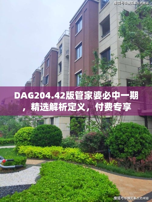 DAG204.42版管家婆必中一期，精选解析定义，付费专享