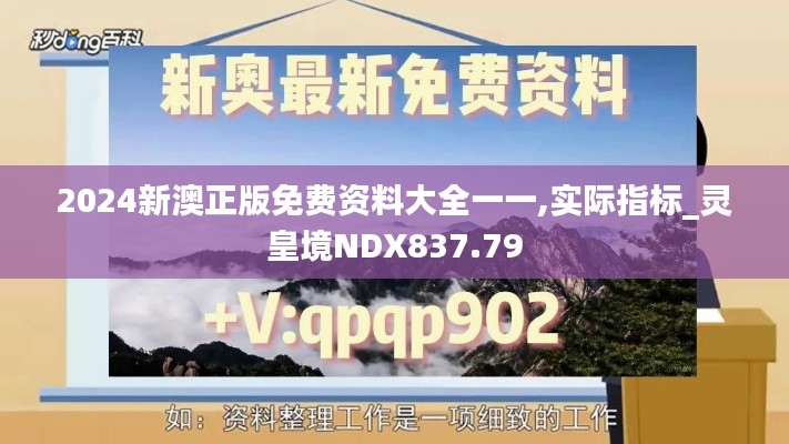 2024新澳正版免费资料大全一一,实际指标_灵皇境NDX837.79