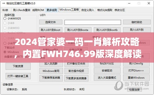 2024管家婆一码一肖解析攻略，内置FWH746.99版深度解读