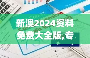 新澳2024资料免费大全版,专业执行问题_配送版USL78.84