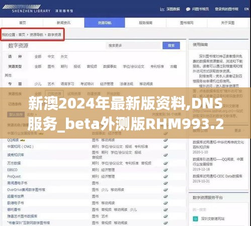 新澳2024年最新版资料,DNS服务_beta外测版RHM993.28