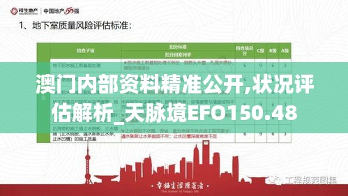 澳门内部资料精准公开,状况评估解析_天脉境EFO150.48