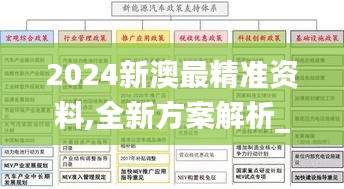 2024新澳最精准资料,全新方案解析_策展版UKL233.52