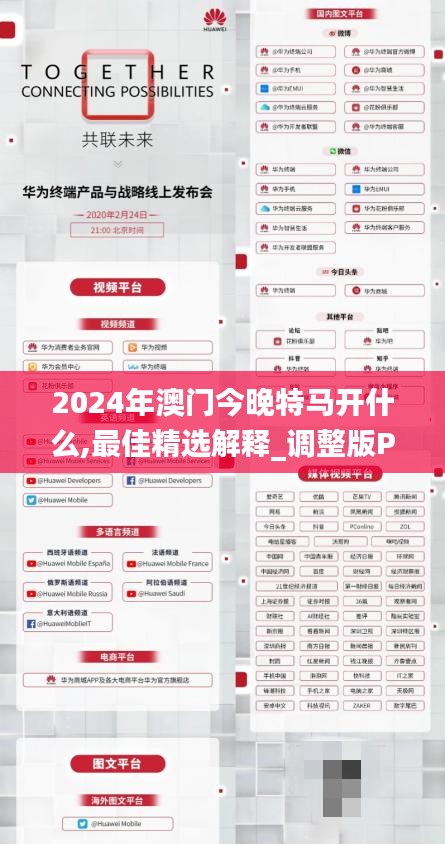 2024年澳门今晚特马开什么,最佳精选解释_调整版PQN457.41