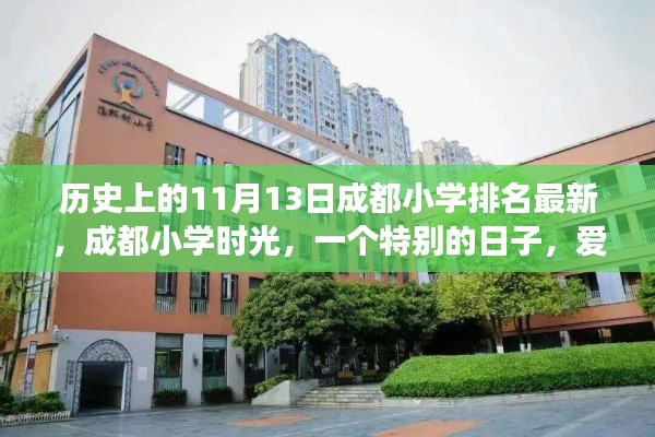 成都小学时光，历史排名背后的爱与陪伴温馨故事（11月13日最新）