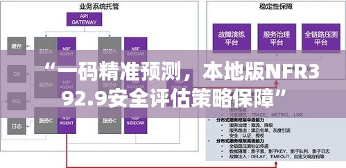 “一码精准预测，本地版NFR392.9安全评估策略保障”