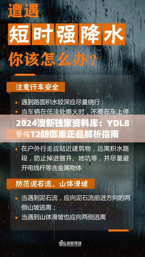 2024澳新独家资料库：YDL8.12防御版正品解析指南